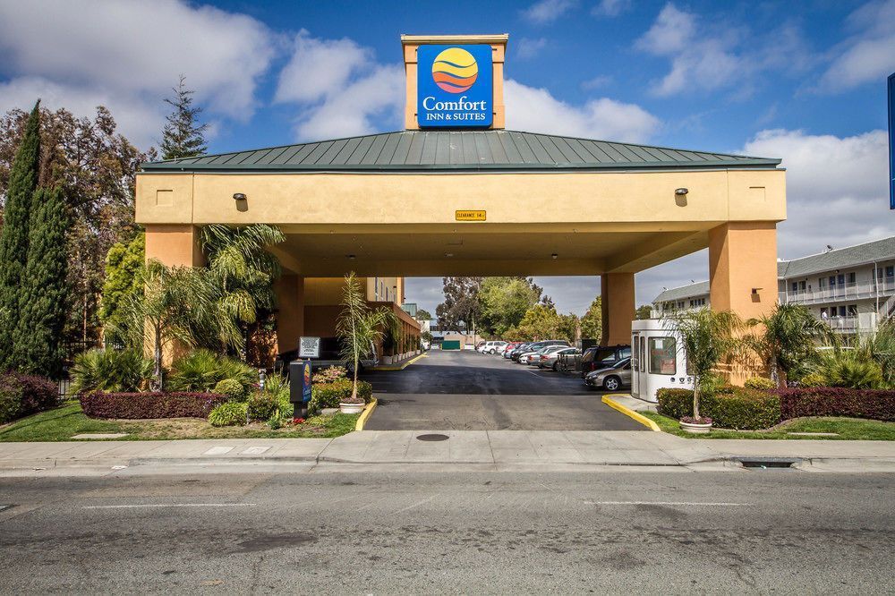 Comfort Inn & Suites Oakland