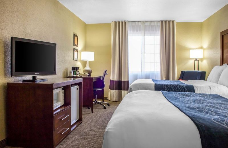 Comfort Inn & Suites North Glendale - Bell Road