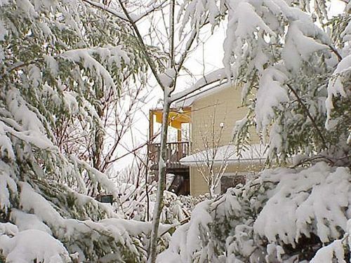 Outdoor Pictures 18