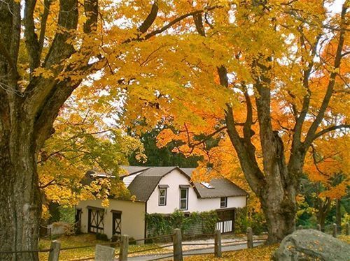 Outdoor Pictures 24