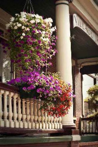 Outdoor Pictures 21