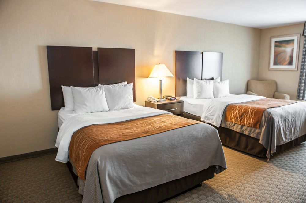 Comfort Inn & Suites Muncie