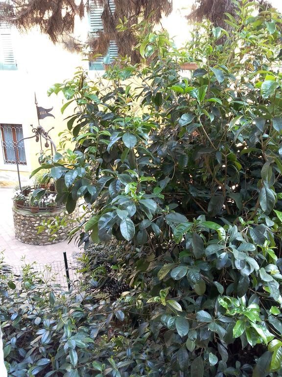 Outdoor Pictures 19