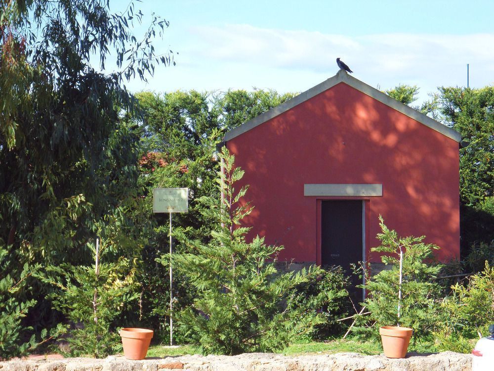 Outdoor Pictures 1