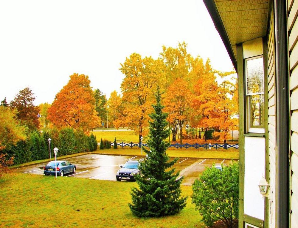 Outdoor Pictures 17