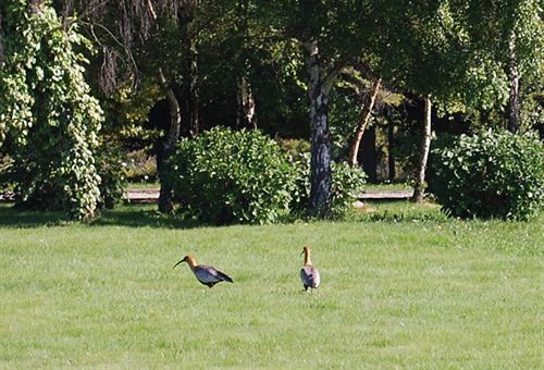 Outdoor Pictures 12