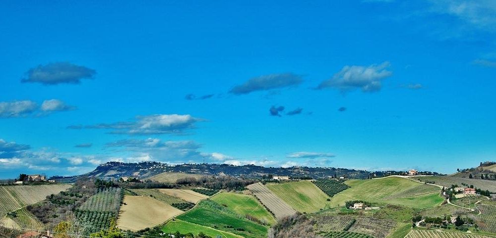 Outdoor Pictures 16