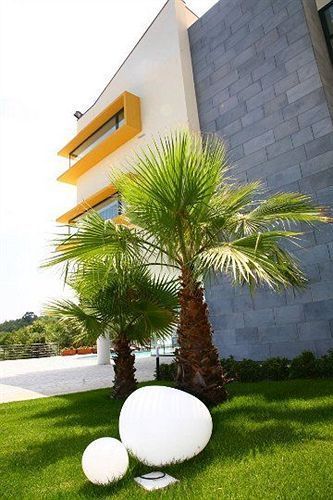 Outdoor Pictures 20