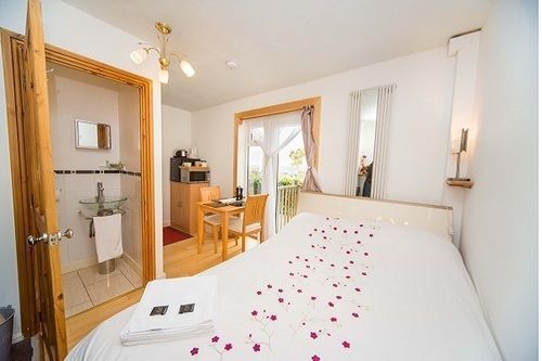 Small en-suite with stunning views near Lyme Regis - Private balcony & real open fireplace stocked with wood