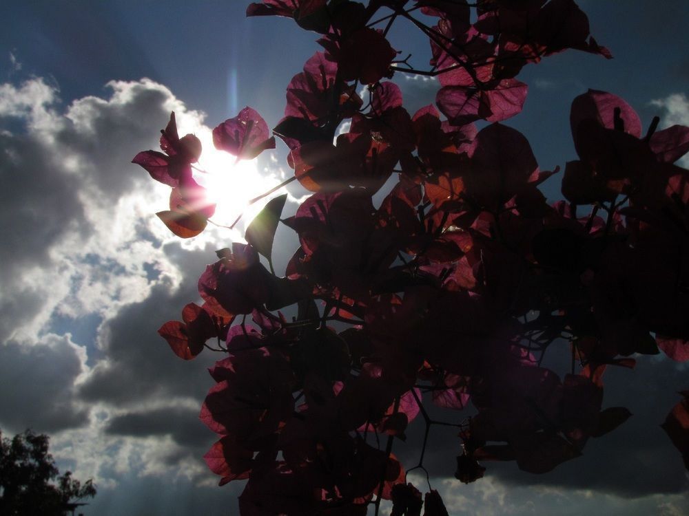 Outdoor Pictures 21