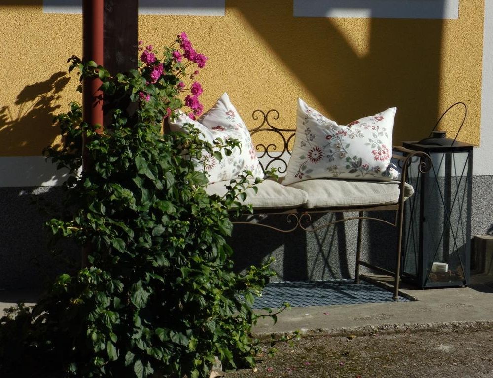 Outdoor Pictures 5