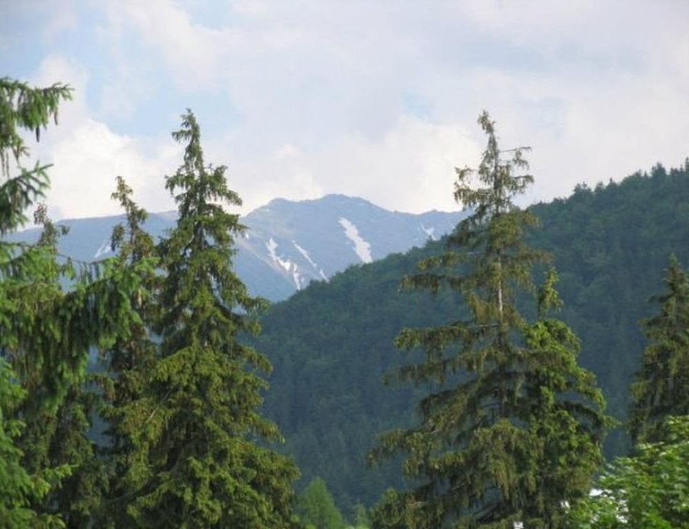 Outdoor Pictures 22