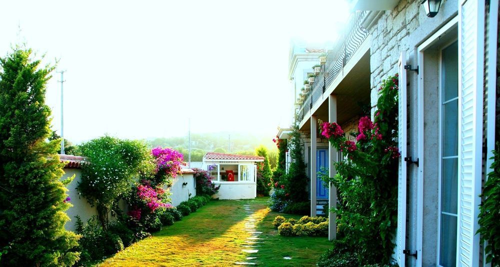 Outdoor Pictures 20
