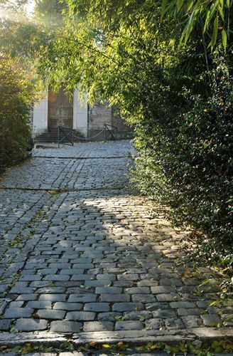 Outdoor Pictures 24