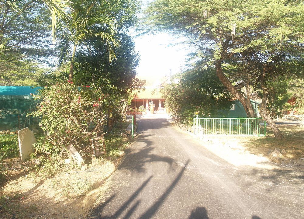Landhuis Daniel - Plantation House