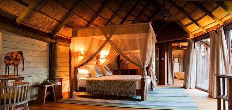 Saadani Safari Lodge - bush, river, beach (All Inclusive! meals / drinks and Safaris!)
