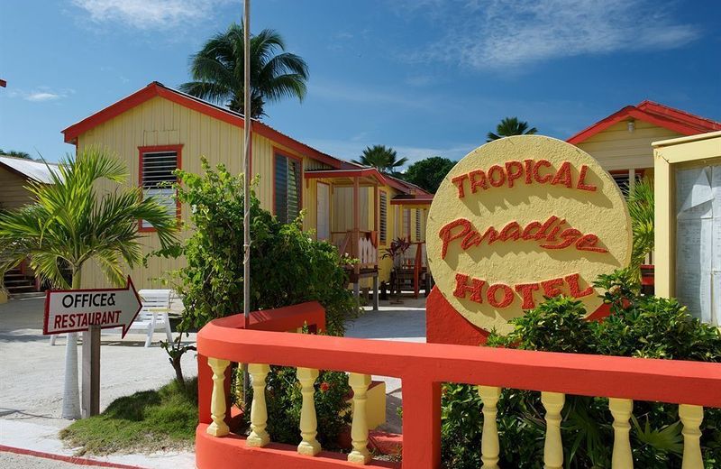 Tropical Paradise