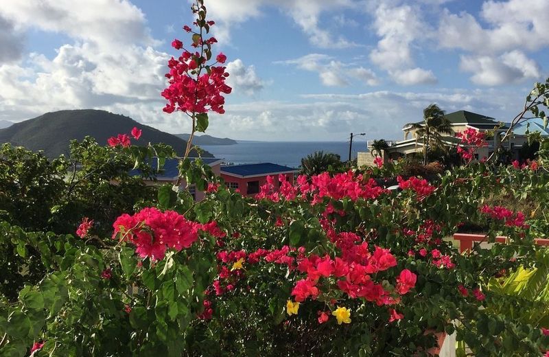 Rock Haven Bed & Breakfast