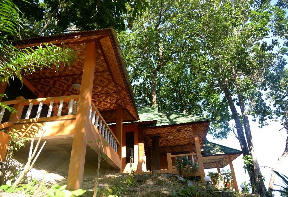 Outdoor Pictures 1