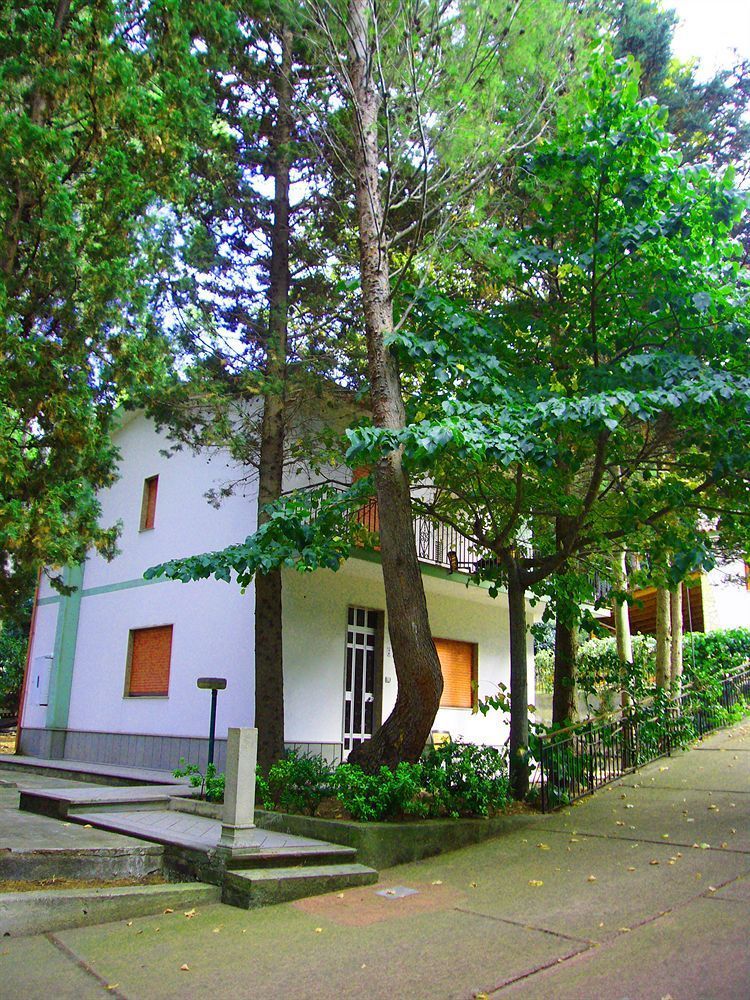 Outdoor Pictures 1