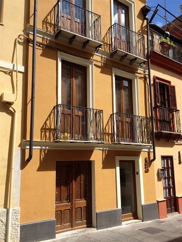 Il Palazz8