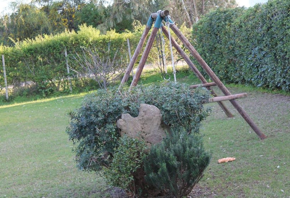 Outdoor Pictures 12