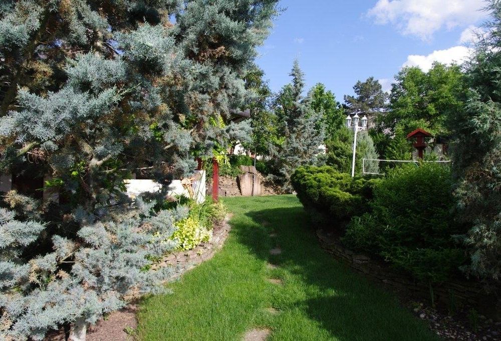 Outdoor Pictures 24