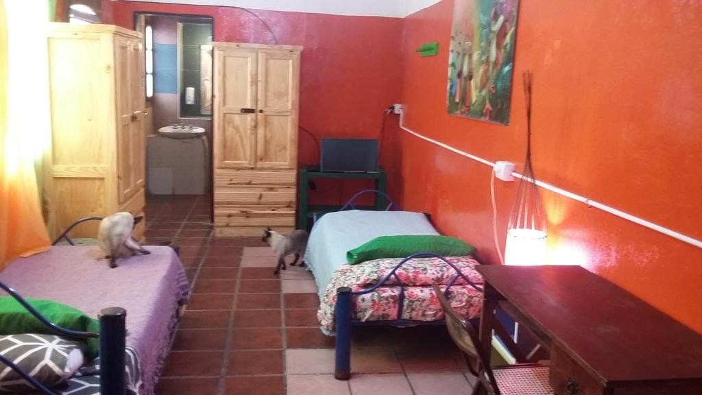 Hospedaje La Rana