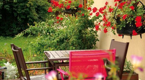 Outdoor Pictures 20