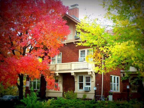 Outdoor Pictures 7