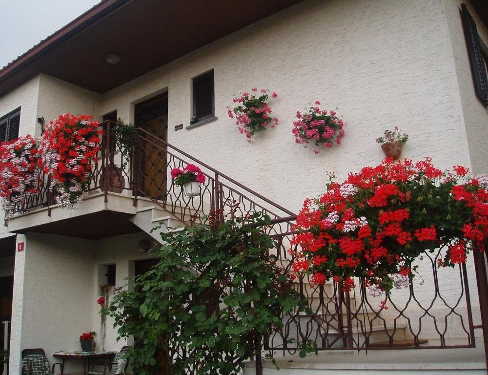 Outdoor Pictures 1