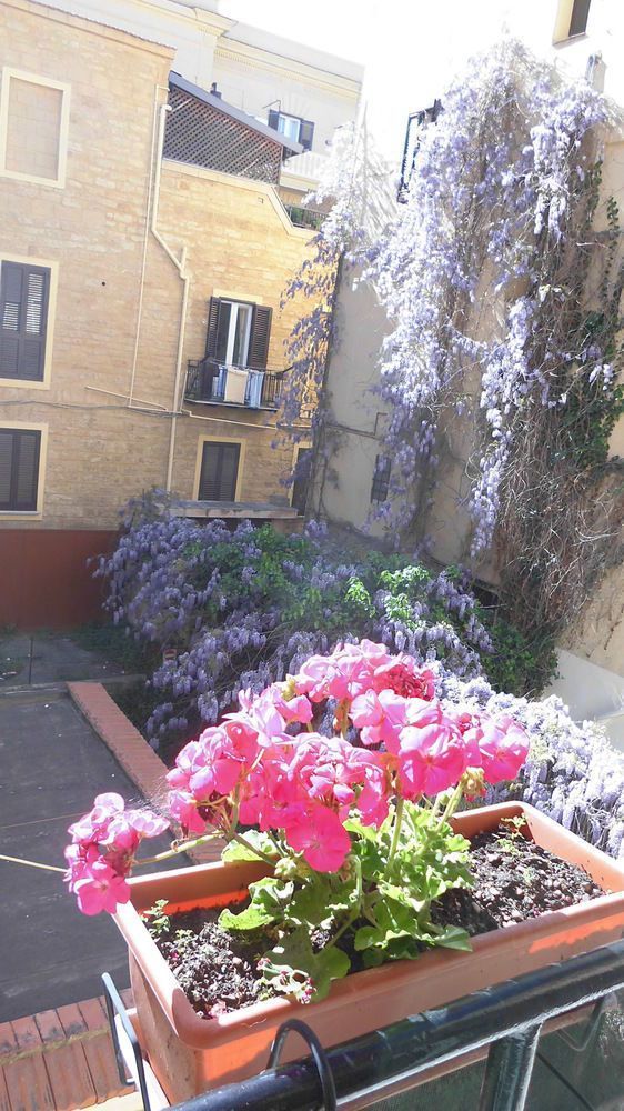 Outdoor Pictures 19