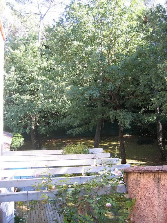 Outdoor Pictures 9