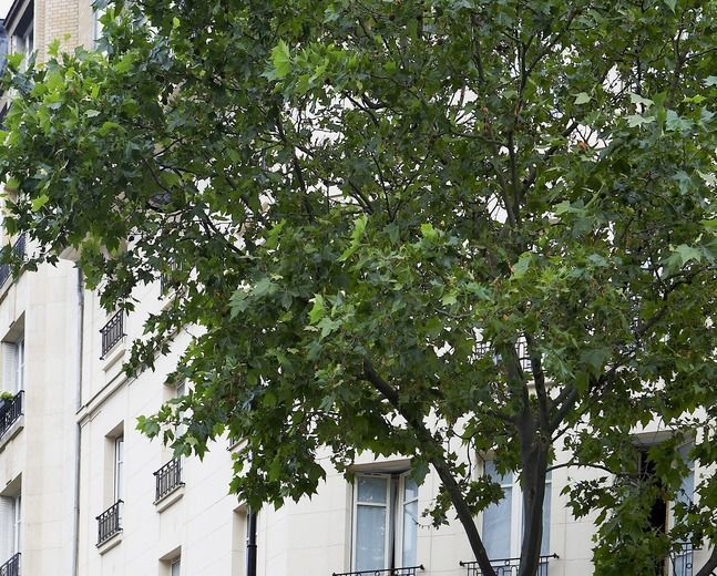 Hotel de France Invalides