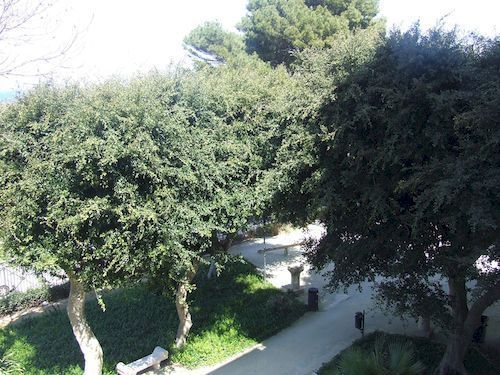 Outdoor Pictures 15