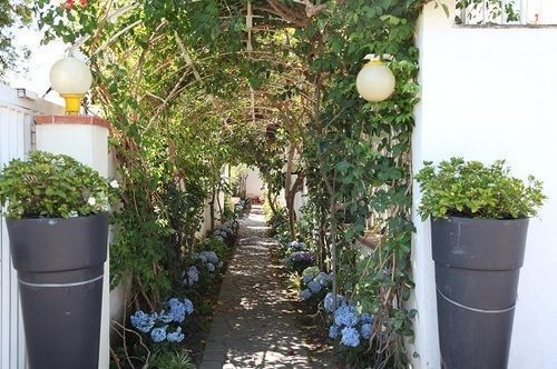 Outdoor Pictures 21