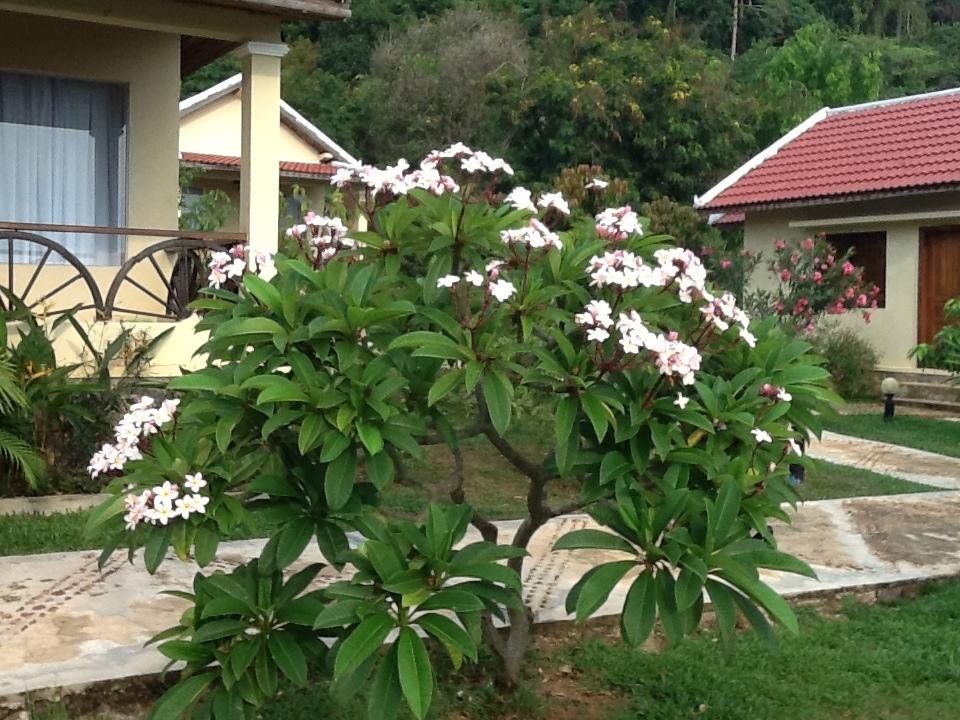 Outdoor Pictures 7