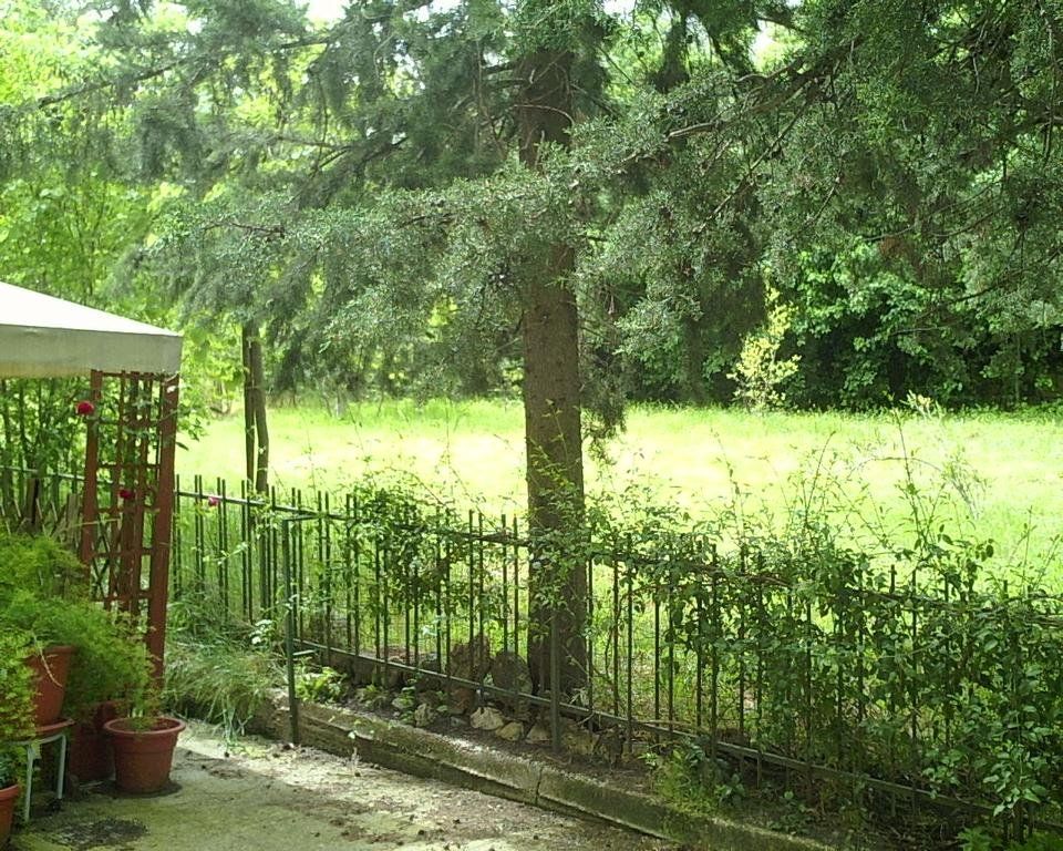 Outdoor Pictures 21