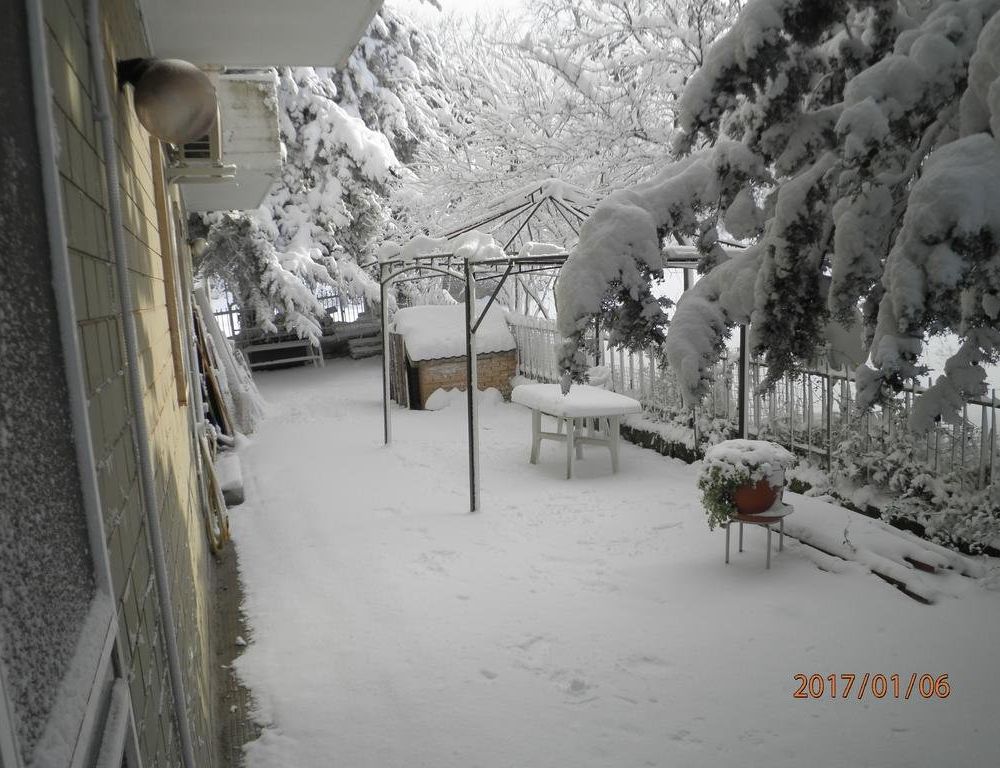 Outdoor Pictures 17