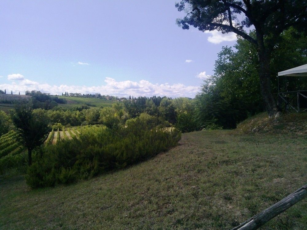 Outdoor Pictures 11