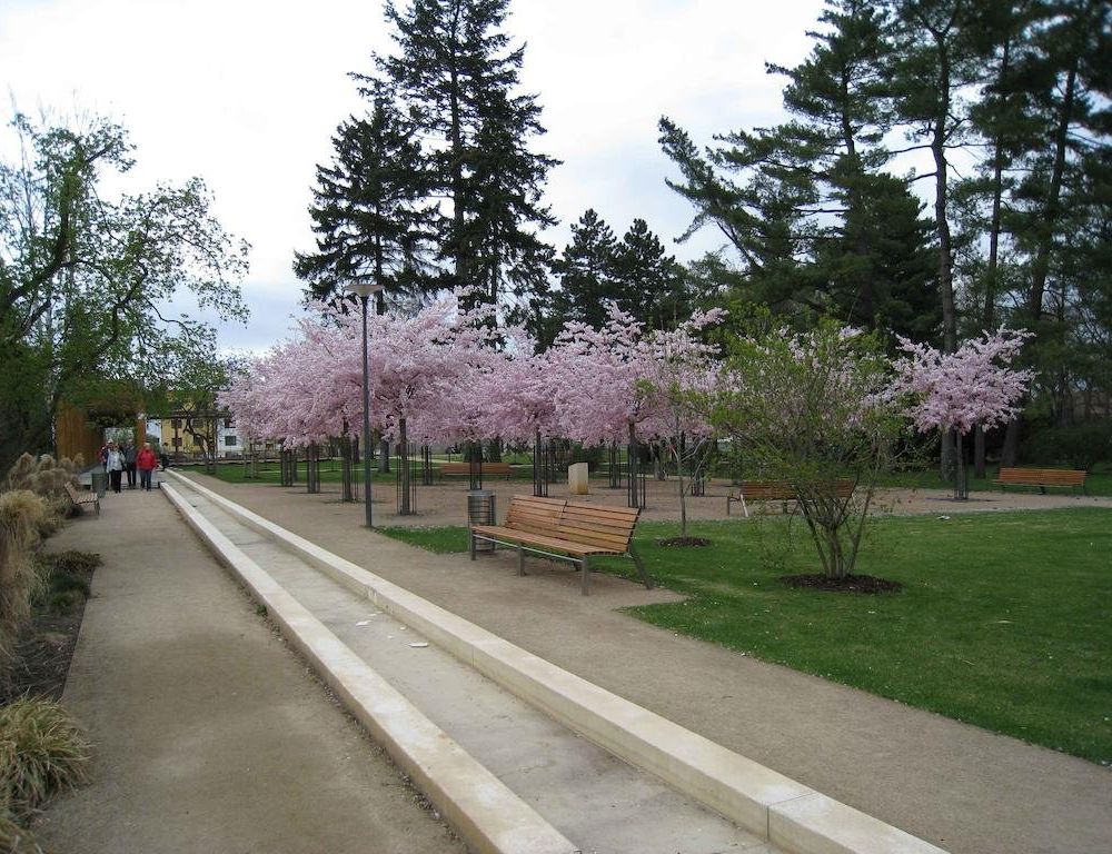Outdoor Pictures 13