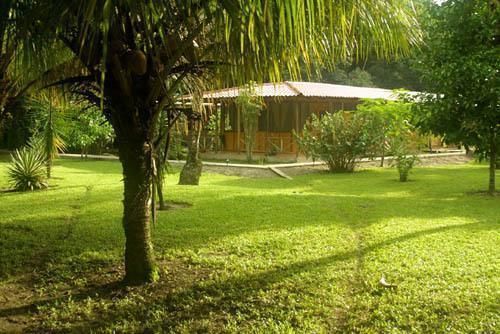 Turtle Beach Lodge