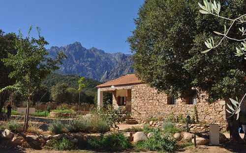 Outdoor Pictures 24