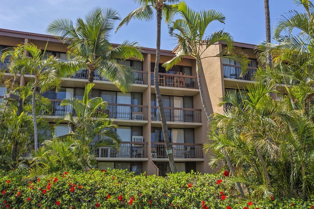 Maui Vista