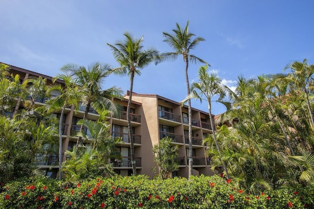 Maui Vista