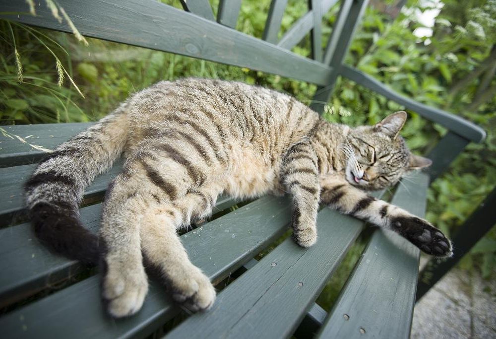 Outdoor Pictures 7