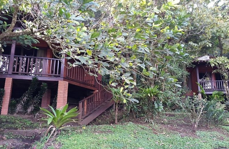 Heliconias Rainforest Lodge