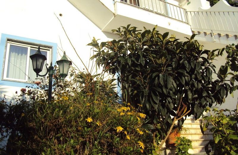 HOSPEDARIA D. MARIA