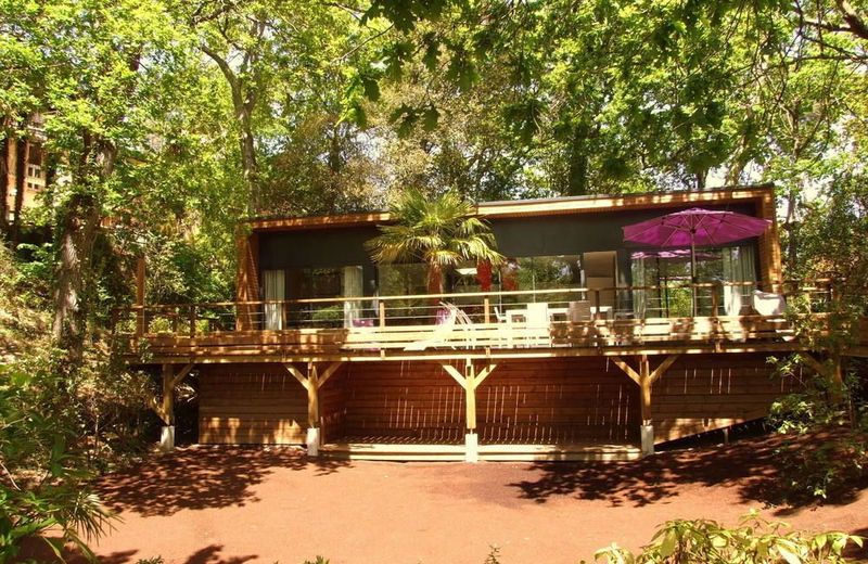 Oasis
