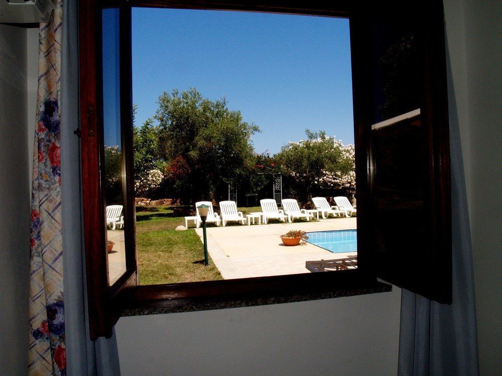 Outdoor Pictures 11